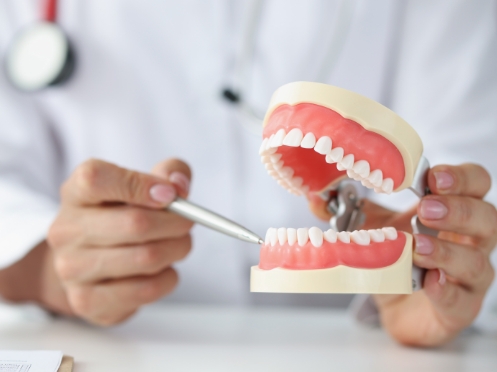 Le traitement des maladies Le traitement des maladies
et la restauration des fonctions buccales :